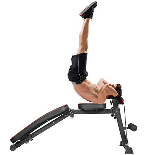 VIAGDO Adjustable Weight Bench Foldable Workout Bench Press for Home Gym, Multi-Purpose Exercise Bench Strength Training Equipment Bench, Flat/Incline/Decline Sit Up Bench for Full Body Workout