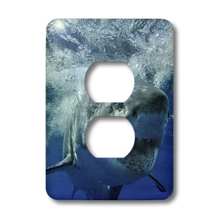 Grand requin blanc 2 prises plaque de finition murale lsp_10587_6 - 3