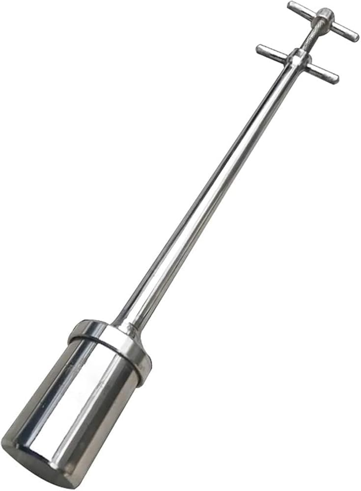Tubo per campionamento di liquidi, campionatore di liquidi viscosi in Acciaio Inossidabile, Tubo per campionamento di liquidi Resistente alle Alte Temperature da 100 ml/200 ml, sonda di Camp
