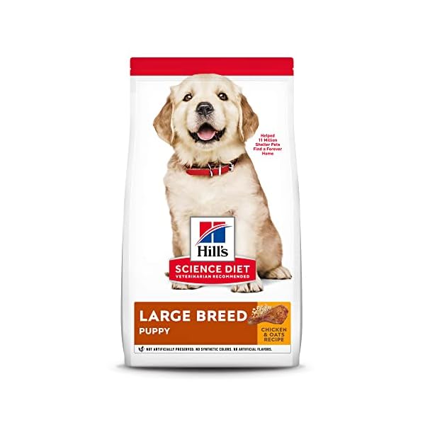 Hill’s Science Diet Dry Dog Food, Puppy, Large Breeds, With Real Meat And Whole Grains, Chicken Meal And Oats Recipe, 7.03 kg (Pack of 1) Hill’s Science Diet Dry Dog Food, Puppy, Large Breeds, With Real Meat And Whole Grains, Chicken Meal And Oats Recipe, 7.03 kg (Pack of 1)