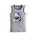 HUAER& Toddler Boys' 2-3 Pack Tank Tops (Dinosaur 2, 2T)