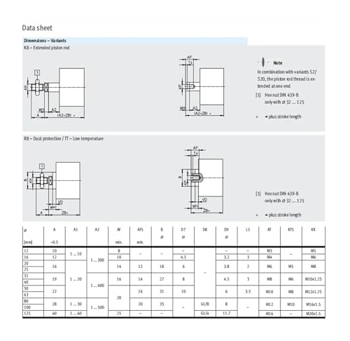 Vérin compact ADN63-15-IPA avec alésage 63mm et course 15mm - 5