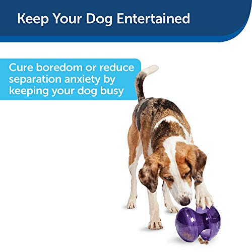 Busy Buddy Magic Mushroom Dog Pet Toy, Small Breeds