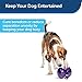 Busy Buddy Magic Mushroom Dog Pet Toy, Medium/LG
