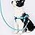 6FT Strong Dog Lead with Comfortable Padded Handle and Highly Reflective Threads for Small, Medium and Large Dogs (6-FT,blue)