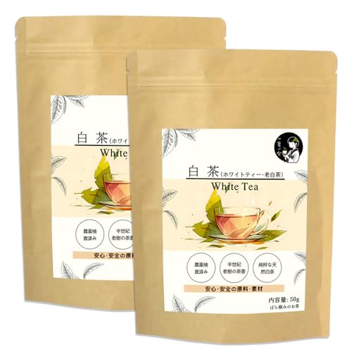 zCgeB[ij eB[obO 2025NtE  V ̔ b2ܓ 100gb͂ȍR_LxɊܗL