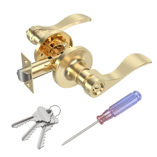 ANSIONLOK Stain Brass Keyed Entry Door Handle, Wave Style Door