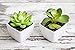 kdelicate Artificial Succulent Assorted Decorative Faux Succulent Fake Plants with White Ceramic Pots -Pack of 6