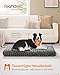 Feandrea Hundebett, Hundekissen XL, für große Hunde, Flauschige Hundematte, Plüsch, 110 x 73 cm, weiche Polsterung, waschbar, rutschfest, schiefergrau PGW293GN01