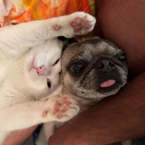 Reading a Book From Every Country cover art