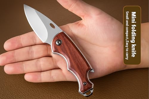 Image of Wizbiz Manual Folding Knife for Kitchen | 3 mm Thick Stainless Steel Blade with Wooden-Look Plastic Handle with Bottle Opener | Multipurpose Kitchen Knife