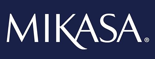 Miniatura 6 de MIKASA Platillos de champán Cheers, copas de champán retro de cristal, diseño plateado, 13.5 fl oz, juego de 4