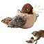 Little sparrows