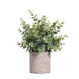 HC STAR Artificial Plant Potted Mini Fake Plant Decorative Lifelike Flower Green Plants