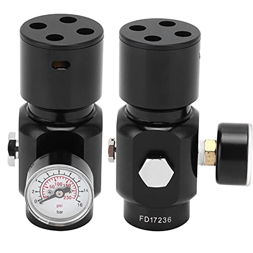 ZDAGELD Regulador de CO2, Mini Regulador de Dióxido de Carbono de Acero Inoxidable para el Hogar, Cerveza de Barril, Ajuste Rápido de Presión con Llave
