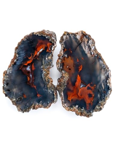 Red Fox Agate Transparent Metaphysical Stone