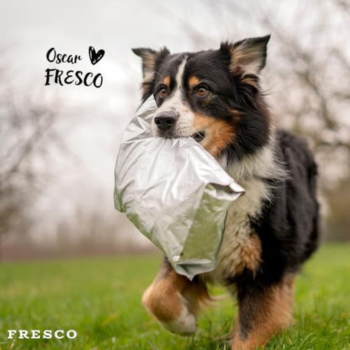 FRESCO Dog Complete Plus Trockenbarf Lamm 2,5kg | natürliches Trockenfutter für Hunde aus frischem Fleisch, Obst und Gemüse | 100% frische Zutaten | ohne künstliche Zusätze