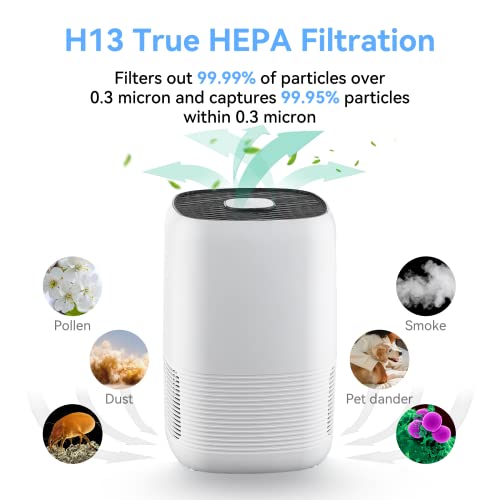 Ocatex Air Purifier For Home Large Room Up To 1095 Ft², H13 Hepa Air Purifier For Bedroom, Room Air Purifier With Ionizer Function, Sleep Mode, Air Purifier For Pets Dander Dust Smoke Pollen #TOP5