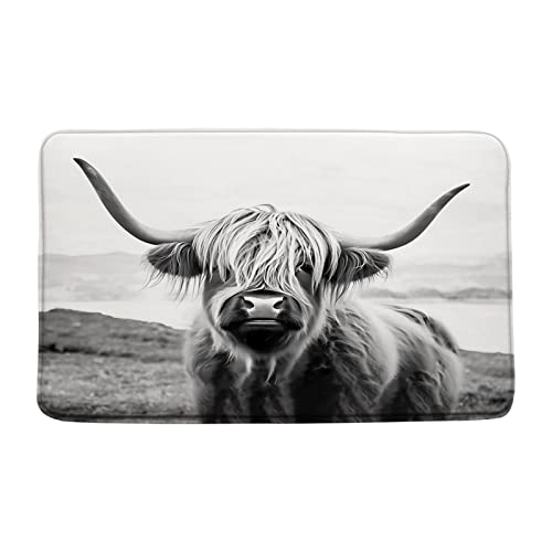 Sunhe Print Microfiber Memory Foam,Highland Cow Bull Portrait Longhorn Gray Farm Animal Western Rustic Vintage Farmhouse Soft Home Office Door Bathroom Mat/Bath Rugs - Non Slip,19.7"X31.5"