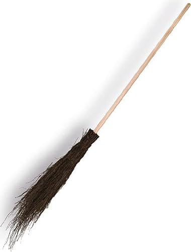 Witch broom Birch broom Broom - Rijsbroom - Branchbroom -