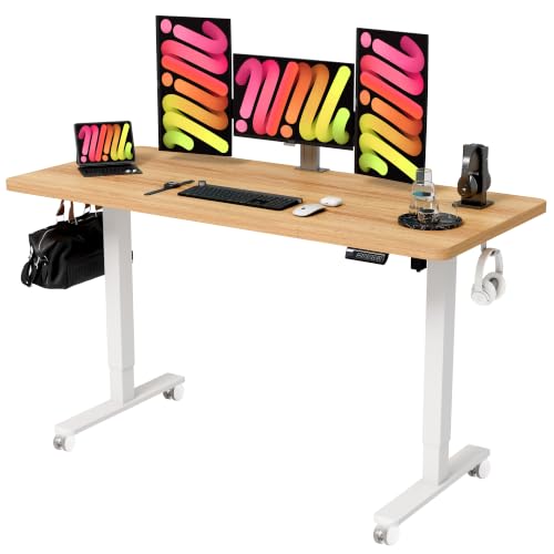 Monomi 55" x 24" Electric Standing Desk