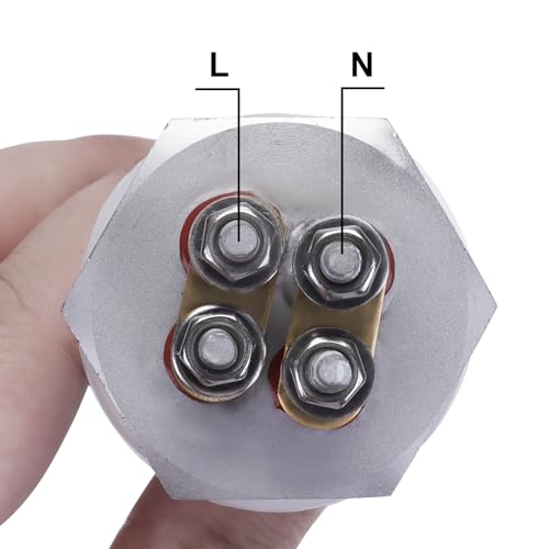 DERNORD 24V 900W Heizelement 1 Zoll DN25 BSP Heizstab Edelstahlflansch with Silikonring Doppel U Typ