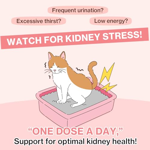 image for Doctor By Dr.by UT Care Cat UTI Kidney Support Urinary Supplement Cran