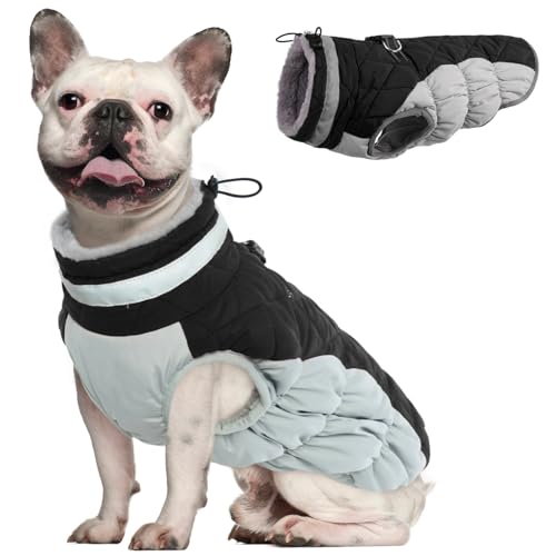 Dog Winter Jacket Cozy Reflective Waterproof Windproof Warm Pet Garment,Comfortable Cold Weather Fleece Apparel Outfits with Zipper Closure for Small Medium Large Dogs Puppy Walking,X-Small Dog Winter Jacket Cozy Reflective Waterproof Windproof Warm Pet Garment,Comfortable Cold Weather Fleece Apparel Outfits with Zipper Closure for Small Medium Large Dogs Puppy Walking,X-Small