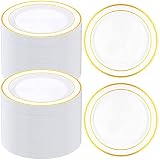 200 Pieces Disposable Plates Plastic Party Plates with Rim Hard Plastic Appetizer Salad Dessert Plat