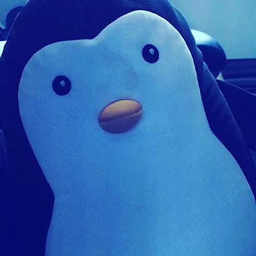 Ep. 1 - Player Perspectives - Pedro Dolabella