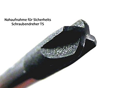 Narex - Cacciavite TORQ-SET® TS 6