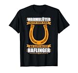 Reiten Haflinger Reiterin Mädchen Warmblüter