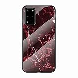 Miagon Galaxy S20 Verre Coque,Marbre Séries 9H Revêtement Arrière en Verre Trempé Protection Cover avec Silicone Souple Cadre pour Samsung Galaxy S20,Rouge
