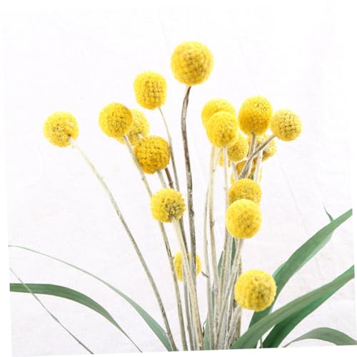 Bolas de flores secas decorativas amarillas pack 30 miniatura 6