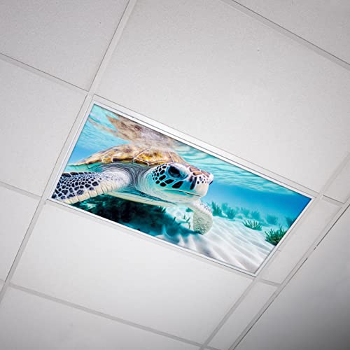 Fluorescent Light Cover for Classroom Ceiling Lights - Premium Backlit