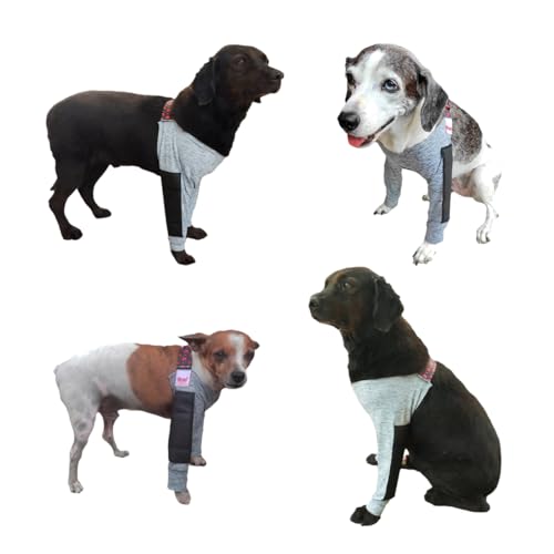 Cotoveleira Ortopédica Acolchoada para Cachorros - Pernas Dianteiras - Proteção Contra Calos e Higro