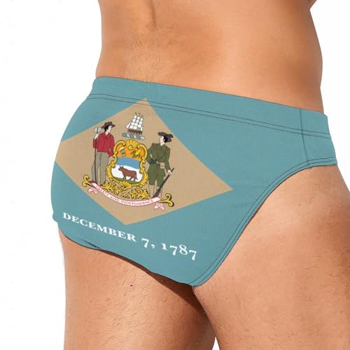 Flag of Delaware Men's Swim Briefs Low Waist Bikini Swimsuit Underwear Beach Swimwear3