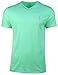 Polo Ralph Lauren Men's Classic Fit V-neck T-shirt-Tyler Green-Large