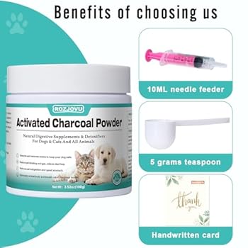 Activated Charcoal Pills for Dogs: Benefits & Safety Tips 2025