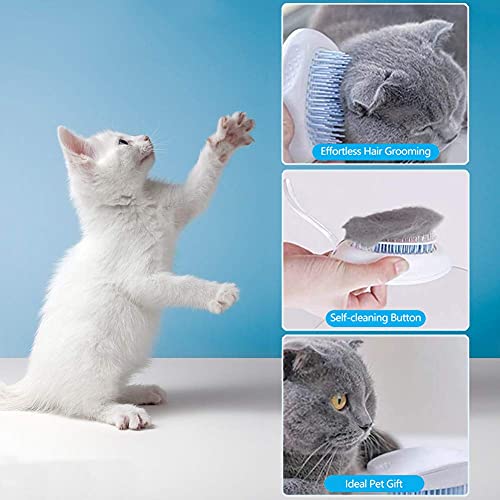 Haselnüsse aus Deutschland - 1.Wahl - Ganze Nüsse für Mensch und Tier! Oder als Nagetierfutter, Tierfutter, Futter für Eichhörnchen, Streifenhörnchen, Nagetiere und Papageien - 3 Kg