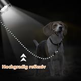 Aystkniet Schleppleine für Hunde, 5M 10M 15M 20M 30M Lange schleppleine mit 2 Wirbelhaken, Trainingsleine für Kleine Mittlere und Große Hunde, Starke Hundeleine Laufleine für Große Hunde bis 150kg
