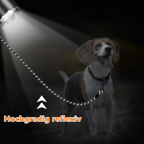 Aystkniet Schleppleine für Hunde, 5M 10M 15M 20M 30M Lange schleppleine mit 2 Wirbelhaken, Trainingsleine für Kleine Mittlere und Große Hunde, Starke Hundeleine Laufleine für Große Hunde bis 150kg