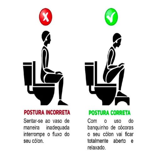 Banco de Cocoras Conforto e Praticidade Portatil SELLNEEDS