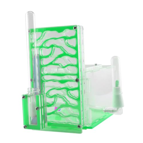 Jinhxofs Hormiguero, Hábitat Transparente, Acrílico, Granja, Villa, Granja, Castillo de Hormigas para Casa, Dormitorio, Verde