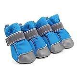 KLGHNMJ Soft Soled Shoes Comfort Walking Spring Autumn...