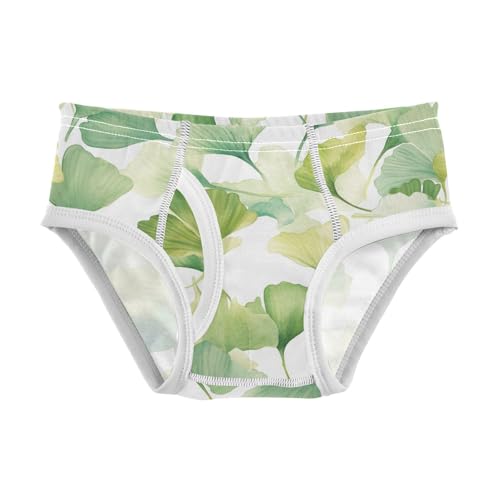 KLL Ginkgo Leaves Toddler Boys' Pure Cotton Boxer Briefs Cute Children Undies