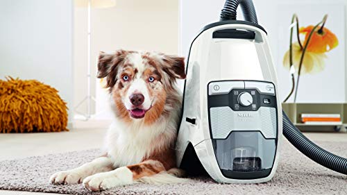 Miele - Aspirateur sans Sac Blizzard Blanc - 11051350 - Image 3