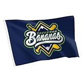 Desert Cactus Savannah Bananas Baseball Flag 100% Polyester Indoor Outdoor 3x5 feet Team Flags (Flag C)