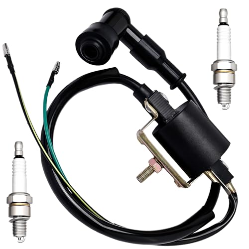 ���̓C�O�j�b�V�����R�C�� SSR 50cc 70cc 90cc 110cc 125cc SR125 X-PRO Storm 125 Taotao DB10 DB14 Apollo DB X18 Coolster 3125R �_�[�g�o�C�N ATV �X�N�[�^�[