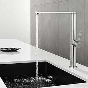 Faulkatze 360° drehbar Küchenarmatur Edelstahl Wasserhahn Küche Armatur Mischbatterie Spültischarmatur Einhebelmische, Matt